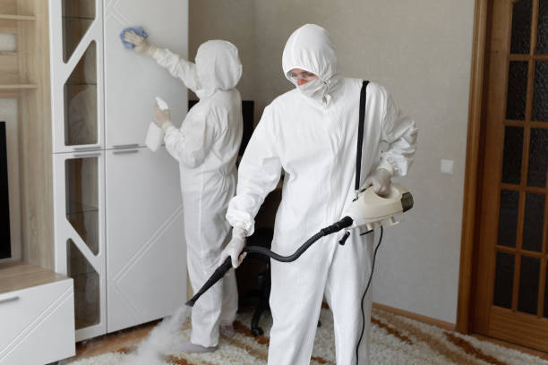 Best Mold Removal Process  in Rochester, WI